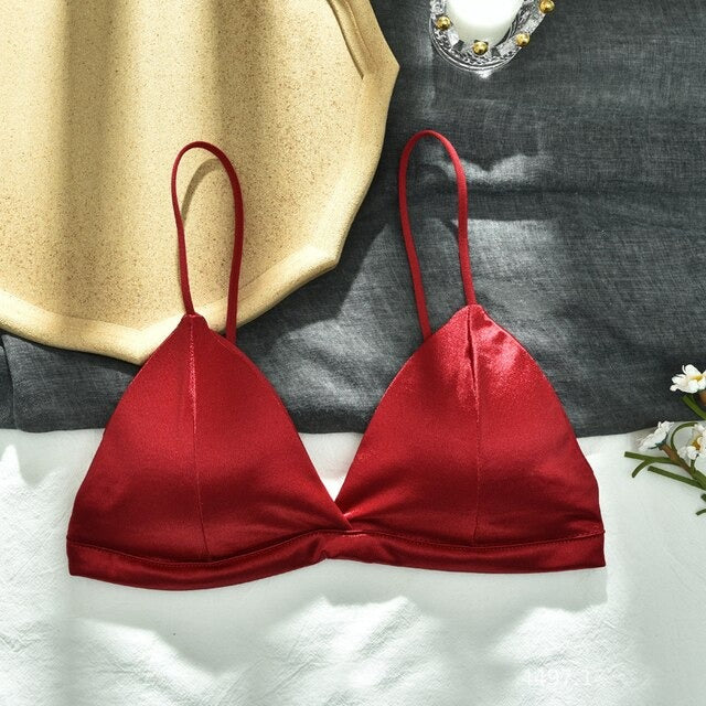 Pack of 2 New Soft & Pure Silk Triangle Cup Light Padded T-Shirt Bra One Hook Padded Bra 2051