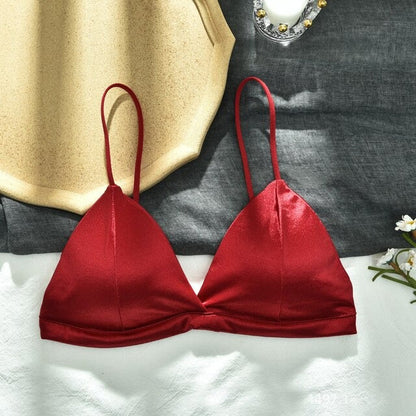 Pack Of 2 New Soft & Pure Silk Triangle Cup Light Padded T-Shirt Bra One Hook Padded Bra 051