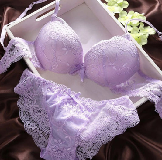 Flourish Cute Lace Net Embroidery Double Strips Adjustable Straps Round Cup Bra and Panty Set 9118