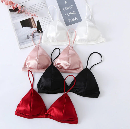 Pack Of 2 New Soft & Pure Silk Triangle Cup Light Padded T-Shirt Bra One Hook Padded Bra 051