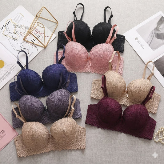 Pack Of 2 Double Padded Wired Lace Bra – Bridal & Everyday Stylish Support 8216