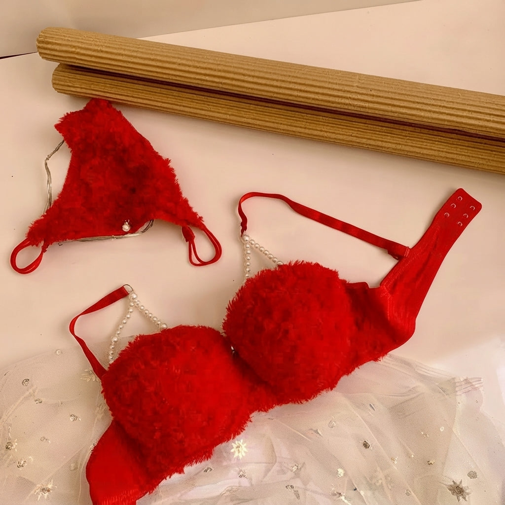 Women’s Padded Bra and Panty Set – Lace Lingerie Set -CH L1