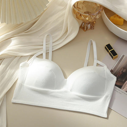 Pack Of 3 Soft Padded Double-Strap Seamless Bra – Comfortable Daily Wear Cotton Blend Bra for Girls & Women – Daisin 828