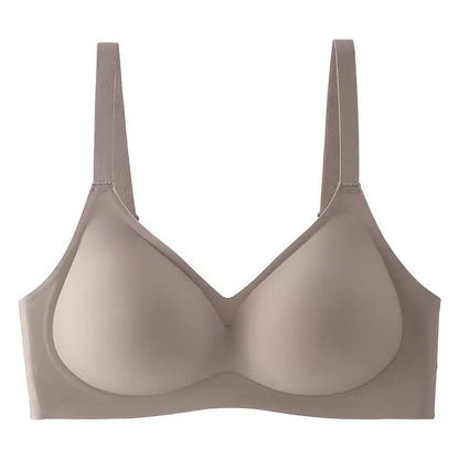 Premium Seamless Wireless Padded Bra Combo -Palm Treasure