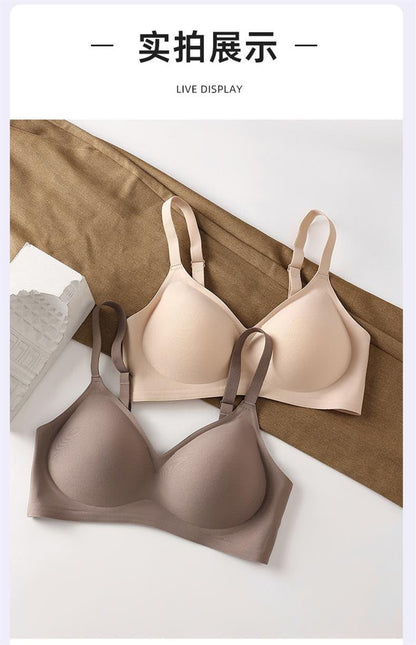 Premium Seamless Wireless Padded Bra Combo -Palm Treasure