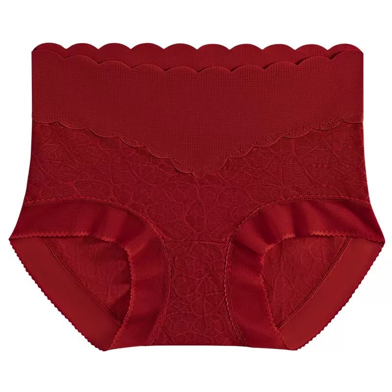 Pack Of 2 Women’s High-Waist Seamless Lace Brief -1726