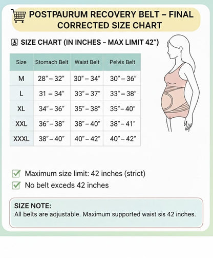 Buy 1 Postpartum Belt & get 1 Nursing pad free- After Delivery Support Recovery | Body Shaper Belt for Women for After Birth Postnatal C-section | Waist Pelvis Shapewear Wrap Postpartum Girdle 3830-16